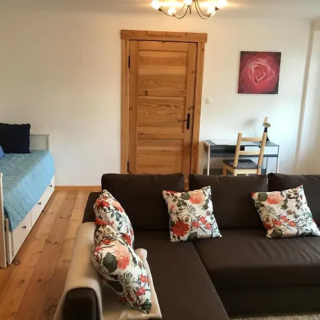 アパート Sanierte Moeblierte Altbauwohnung Am Waldrand Fuer Bis Zu 6 Personen